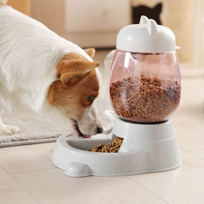 Pet Feeding & Care Essentials